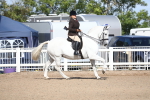 Class 603 - 2027 Area - Ridden Pre Vet portfolio