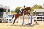 SBM_001931