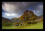 Langdale Light