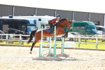 SBM_000469