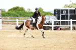 SBM_008154