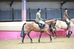 SBM_03331