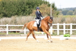 SBM_018353