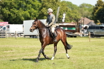 SBM_18341