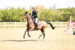 SBM_003399