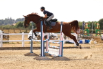 SBM_001063