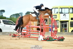 Cls 37, Amateur 1.05m portfolio