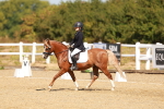 SBM_017560