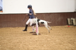 SBM_001343