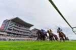 Race 2 2.00pm Sky Bet Dash Handicap portfolio