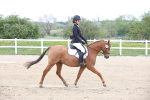 SBM_006578