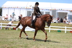 3E7A8607