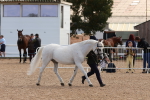 SBM_11098