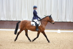 SBM_001831