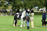 SBM_46949