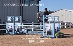 BPP_1199