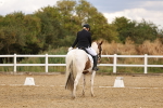 SBM_006590