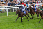 220824-Race 1-Celandine-7605