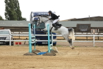 SBM_003542