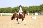 SBM_008568