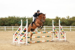 SBM_008908
