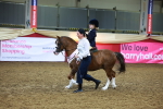 SBM_14694
