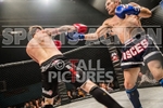 FULL BOAR CAGE FIGHTING 2012 portfolio