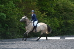 WJ5_9733