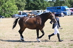 WJ6_8638