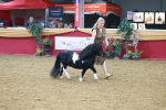 SBM_16602
