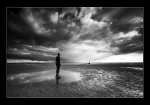 The Watcher
