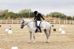 SBM_002904