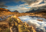 Glen Sligachan Gold