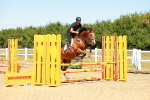 SBM_005933