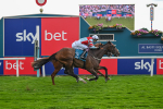 Race 5 3.50pm Sky Bet, For The Fans Handicap portfolio