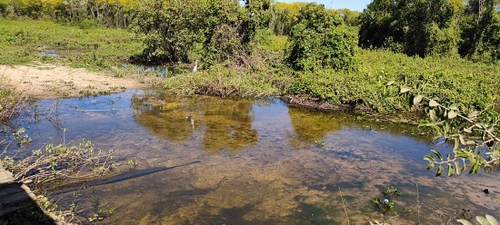 3 View from Transpantaneira road