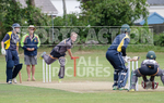 WANDERERS vs GRIFFINS portfolio