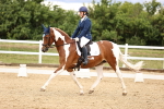 SBM_002838