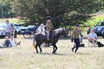 WJ6_7946