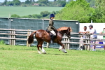 SBM_07947