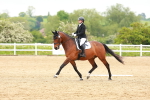 SBM_006532