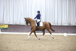 SBM_004438