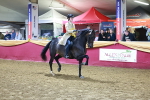 SBM_15967