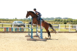 SBM_006677