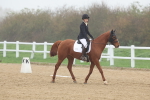 SBM_001198