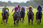 Race 8 5.35pm Thirsk Racecourse Ideal Conference & Events Venue Handicap (Div II) portfolio