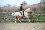 SBM_006357