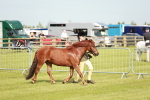 SBM_00579
