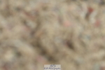 230630A-125347-01966