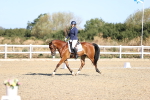 SBM_012441